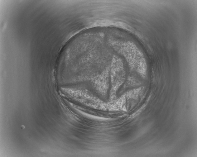 X0000072551497200608111825