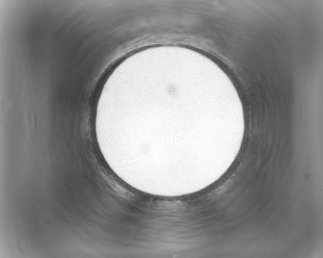 X0000072551498200608111825