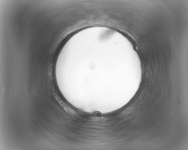 X0000072551499200608111825