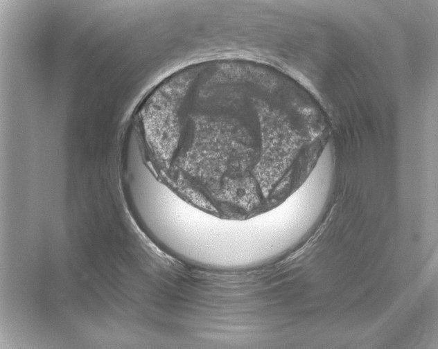 X0000072551500200608111825