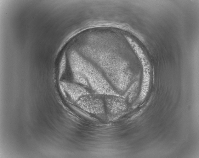 X0000072551501200608111825