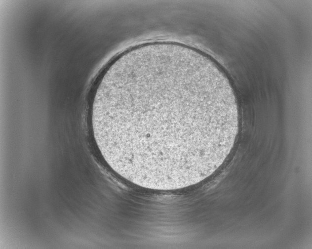 X0000072551502200608111825