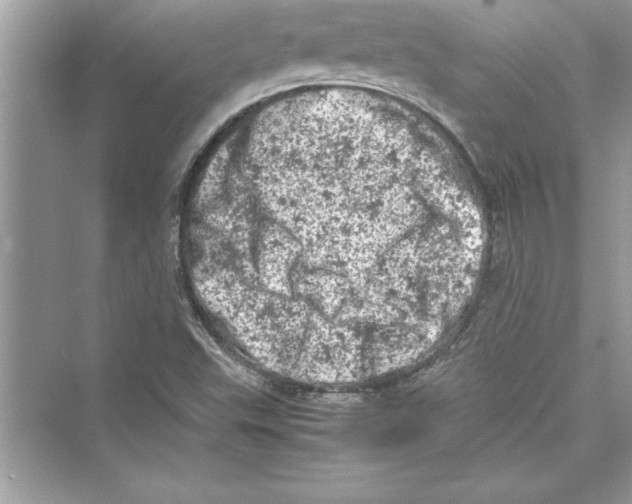 X0000072551503200608111825