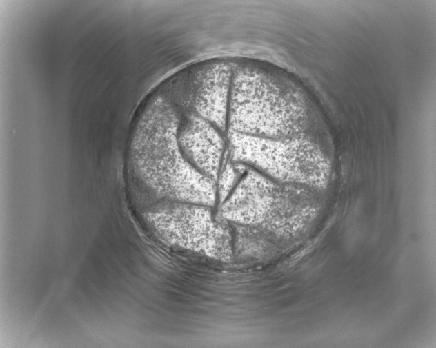 X0000072551505200608111825