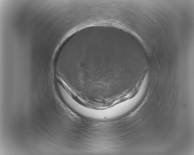 X0000072551506200608111825