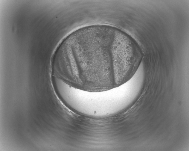 X0000072551508200608111825