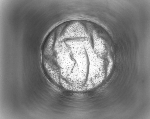 X0000072551509200608111825