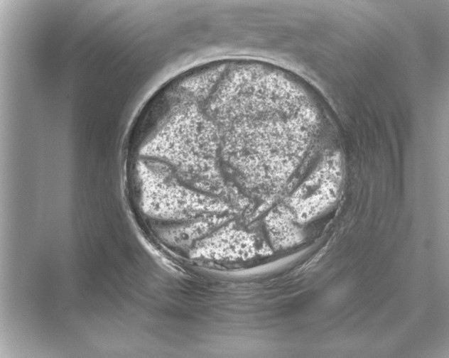 X0000072551511200608111825