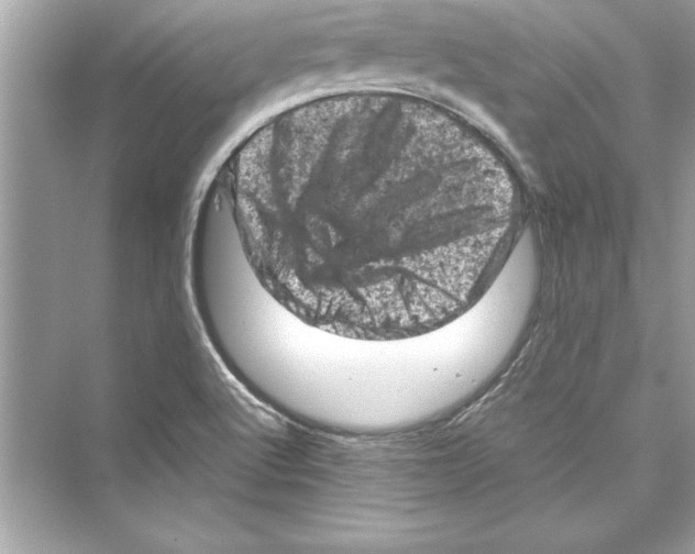 X0000072551512200608111825