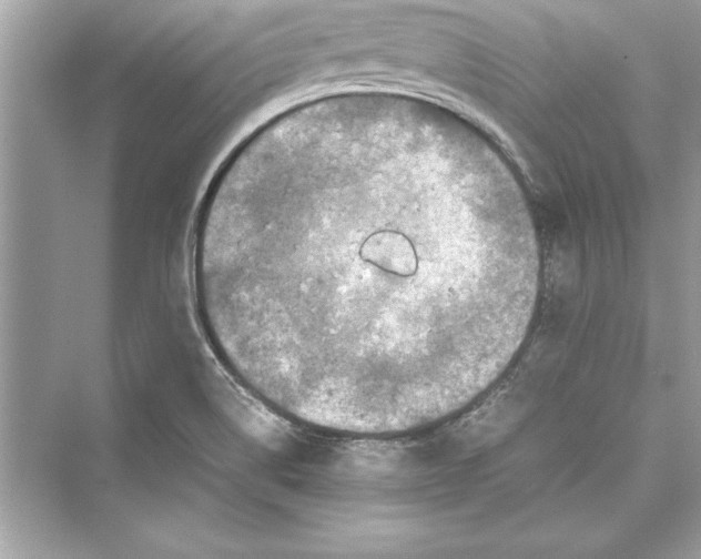 X0000072551514200608111825