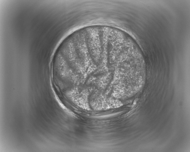 X0000072551515200608111825