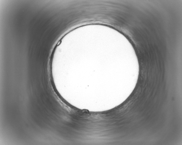 X0000072551516200608111825