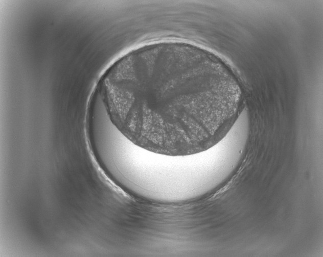 X0000072551518200608111825