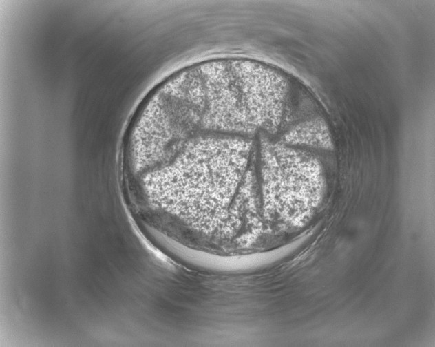 X0000072551519200608111825