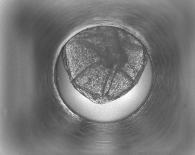 X0000072551520200608111825