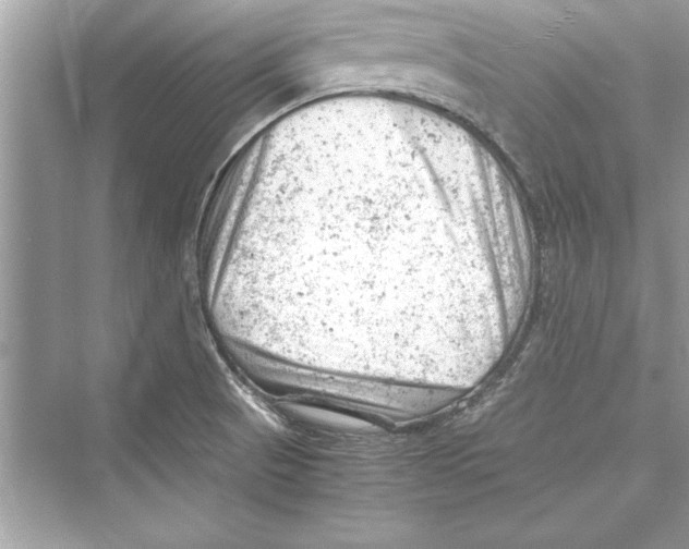 X0000072551521200608111825