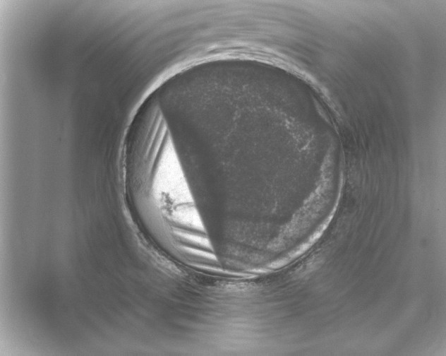 X0000072551522200608111825