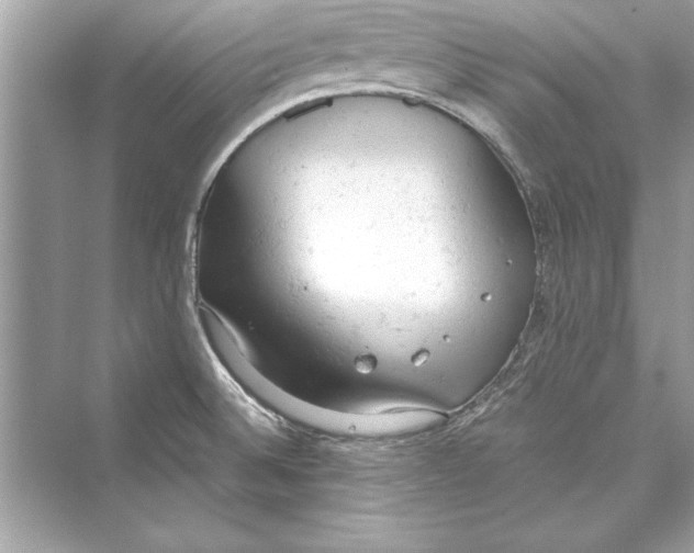 X0000072551524200608111825