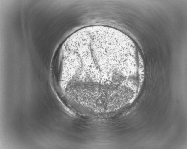 X0000072551525200608111825