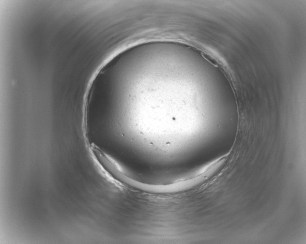 X0000072551528200608111826