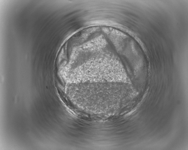 X0000072551529200608111826