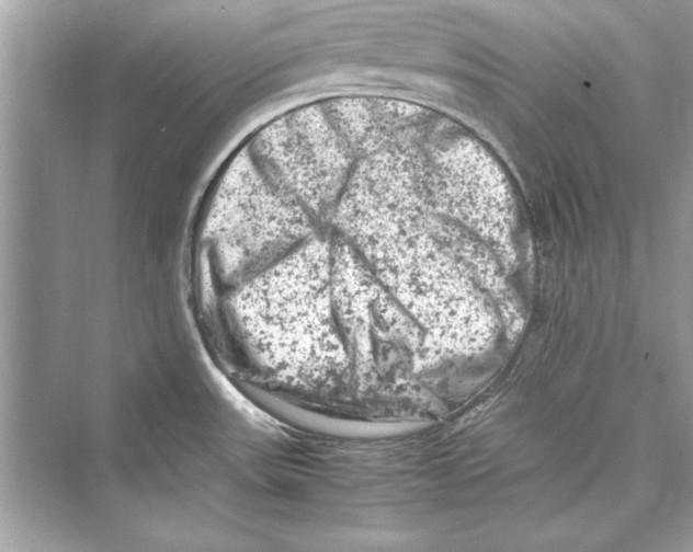 X0000072551531200608111826