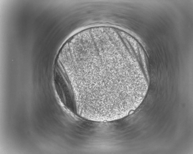 X0000072551534200608111826