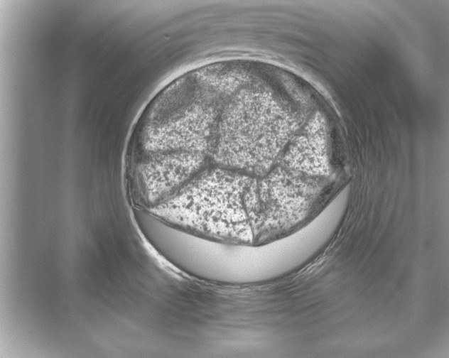 X0000072551535200608111826