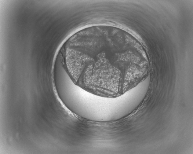 X0000072551536200608111826