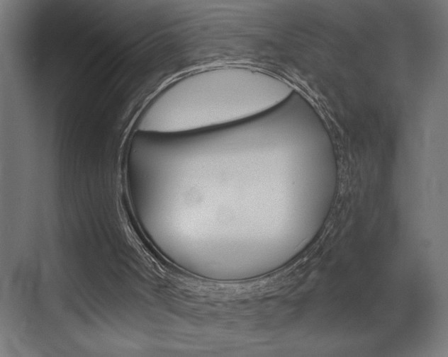 X0000072920002200607210918