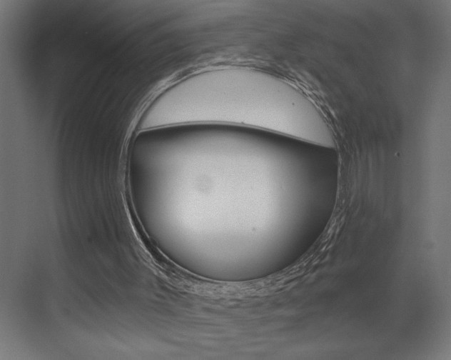X0000072920003200607210918