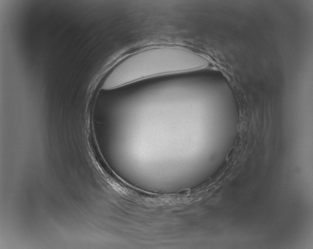 X0000072920005200607210918