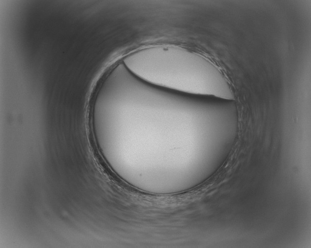 X0000072920006200607210918