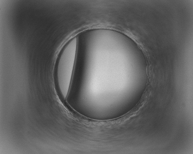 X0000072920007200607210918
