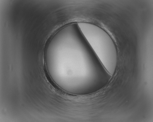 X0000072920011200607210918