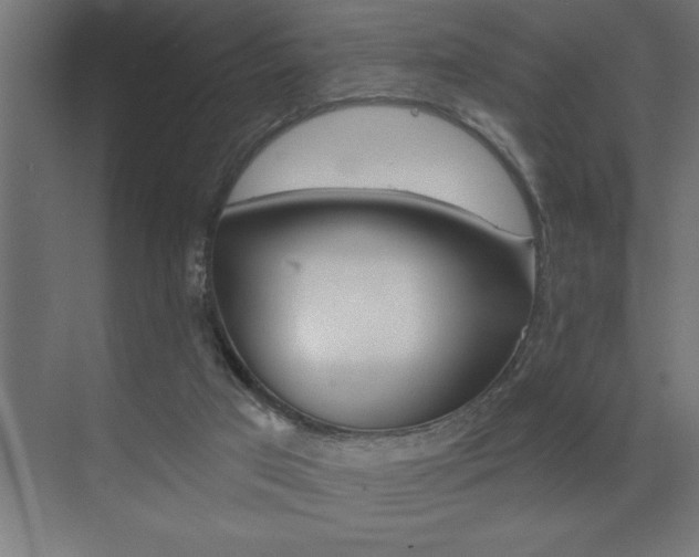 X0000072920017200607210918