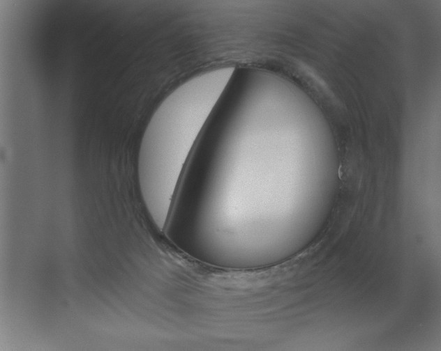 X0000072920025200607210918