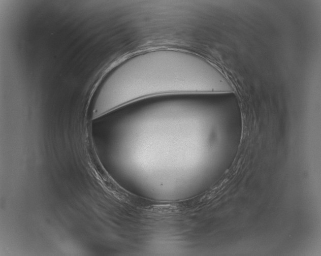 X0000072920050200607210916