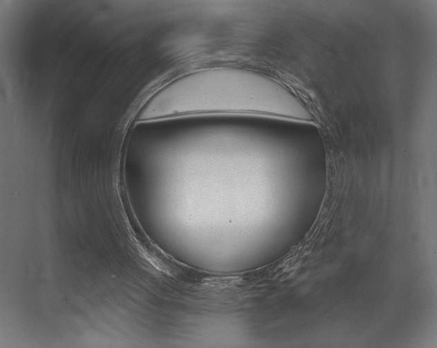 X0000072920051200607210916