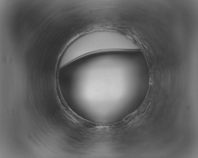 X0000072920052200607210917