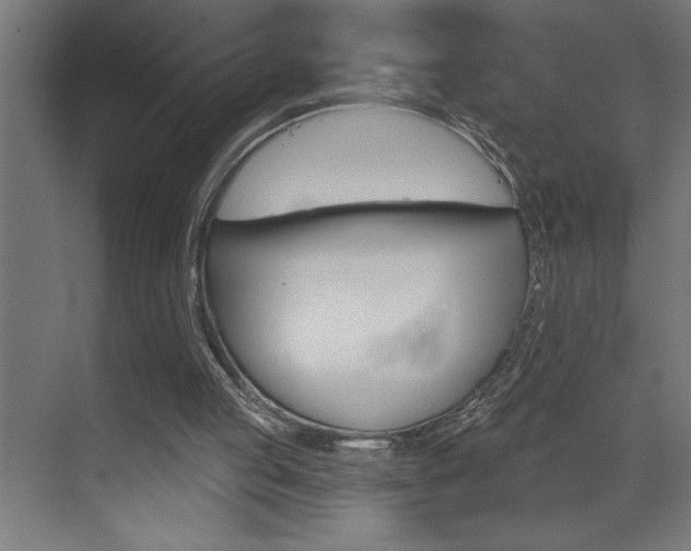 X0000072920053200607210917