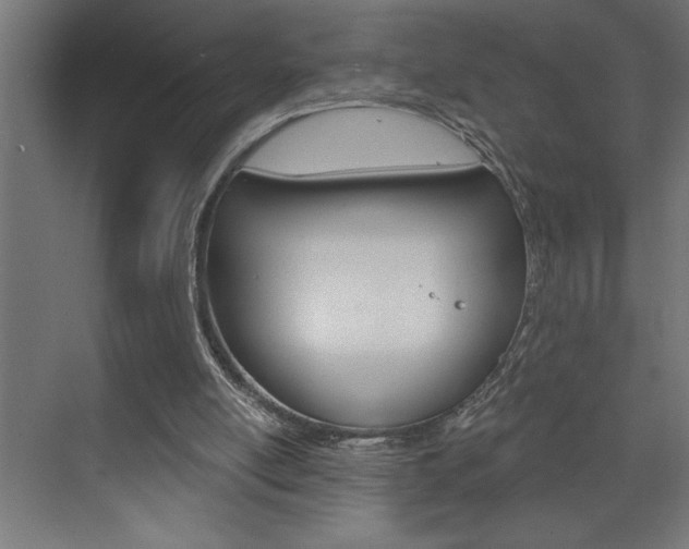 X0000072920054200607210917