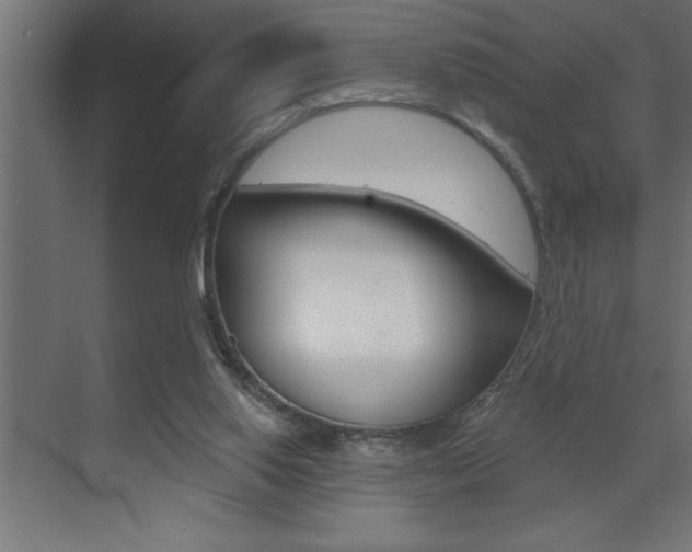 X0000072920062200607210917
