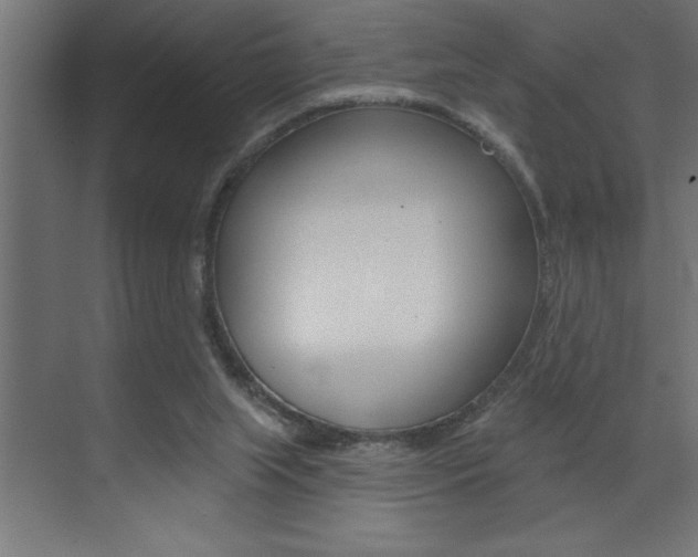X0000072920063200607210917