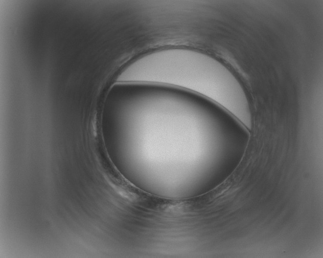 X0000072920068200607210917