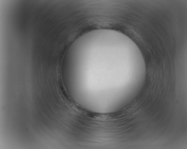 X0000072920079200607210917