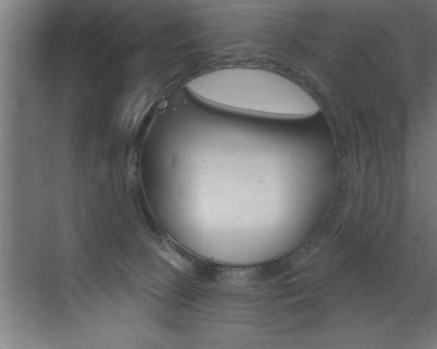 X0000072920081200607210917