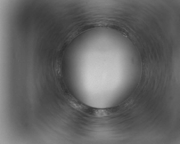 X0000072920091200607210917