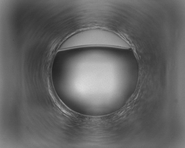 X0000072920097200607210916