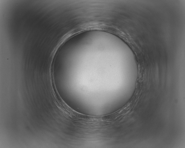 X0000072920099200607210916